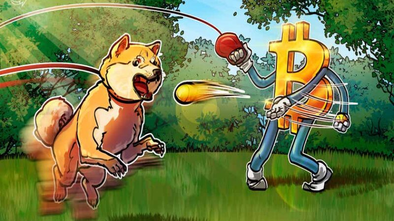 Dogecoin loses 70% against Bitcoin during 6 months of celebrity DOGE endorsements