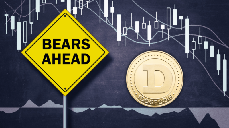 Dogecoin Loses Circulation ! When Will DOGE Price Buck Up ?