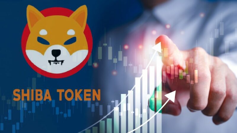 Is It Right Time To Buy Shiba Inu(SHIB) Or Selling Is A Better Option?