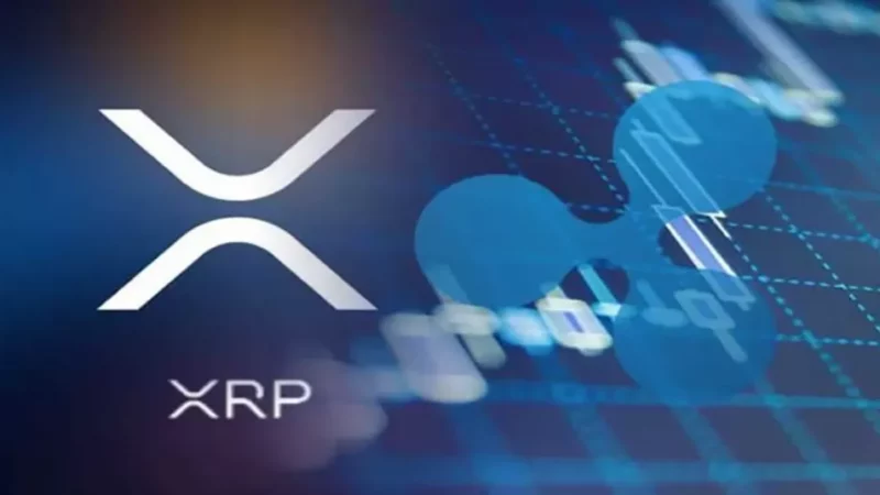Judge Approves SECs Desperation! Patience Level Breaks Out Of XRP Community!
