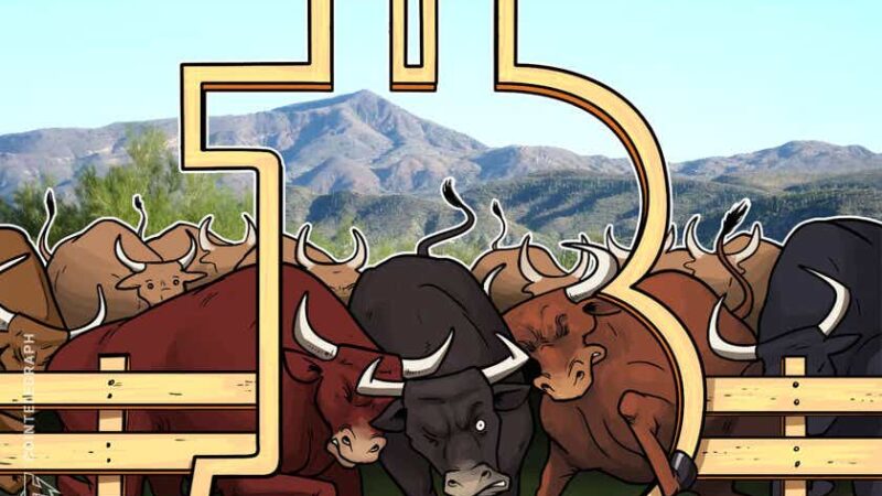 Long-term Bitcoin bulls hodl strong despite five-month price high