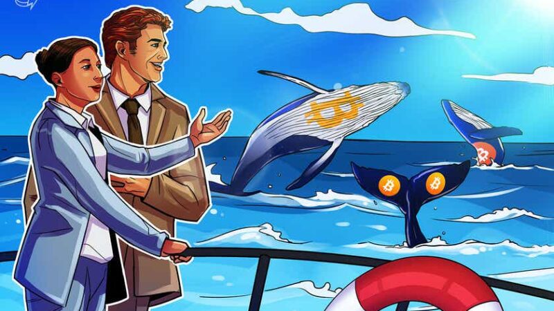 Price spike: Are whales front-running the approval of a Bitcoin futures ETF?