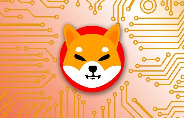 Shiba Inu Massive 300% Rally! Will Shib Price Hit New ATH Today?