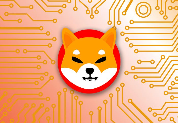 Shiba Inu Massive 300% Rally! Will Shib Price Hit New ATH Today?