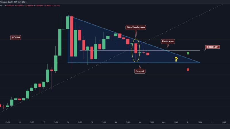 Shiba Inu Price Analysis: After 13% Daily Drop, SHIB Eyes Crucial Support Level