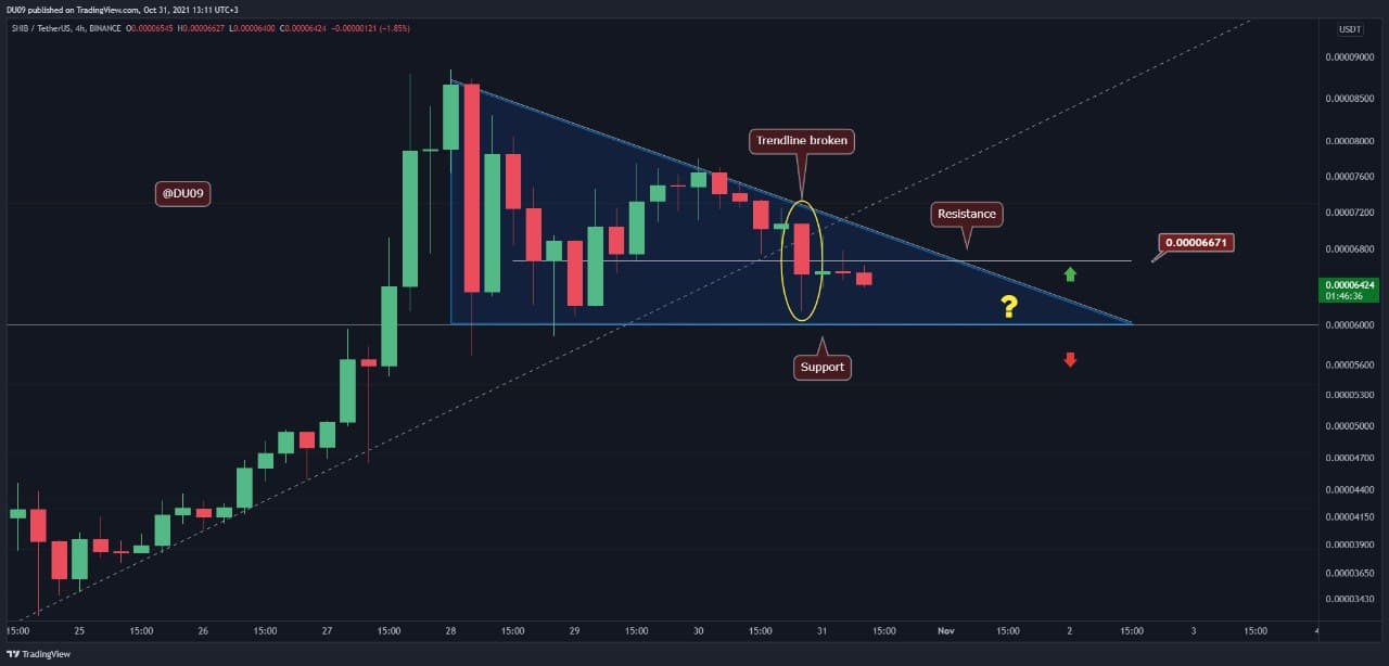 Shiba Inu Price Analysis: After 13% Daily Drop, SHIB Eyes Crucial Support Level