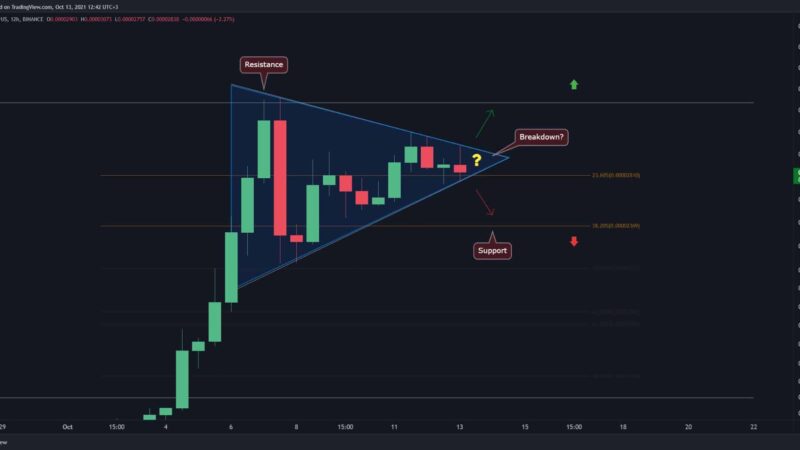 Shiba Inu Price Analysis: SHIB Likely to Head Lower Before Bullish Run Continues