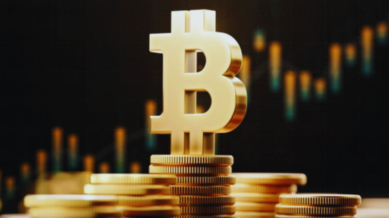 Shiba Inu Surpasses Dogecoin & Polkadot, Aims XRP Next, Yet Bitcoin May Not Be Worried