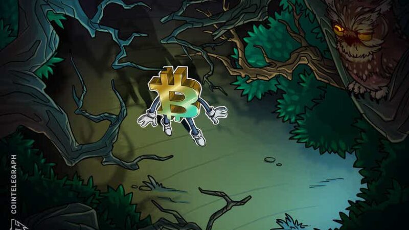 Bitcoin clings to $56K as whales keep buying — Watch these BTC price levels