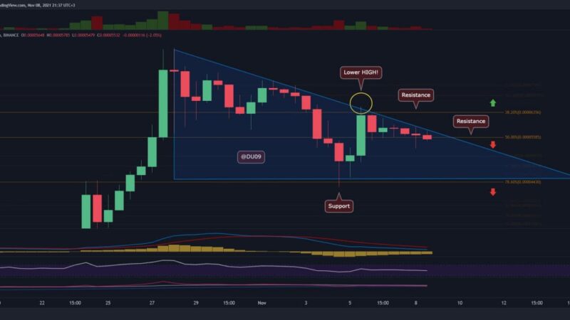 DeFi tokens see double-digit gains as Ethereum and Bitcoin chase new highs