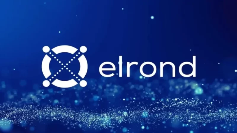 Is Elrond(EGLD) Price Rise On The Market Charts Short-lived?