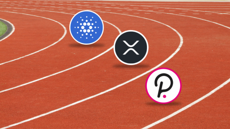 Polkadot and Ripple Buckle Up to Dethrone Cardano! Will ADA Run Out Of Top 10?
