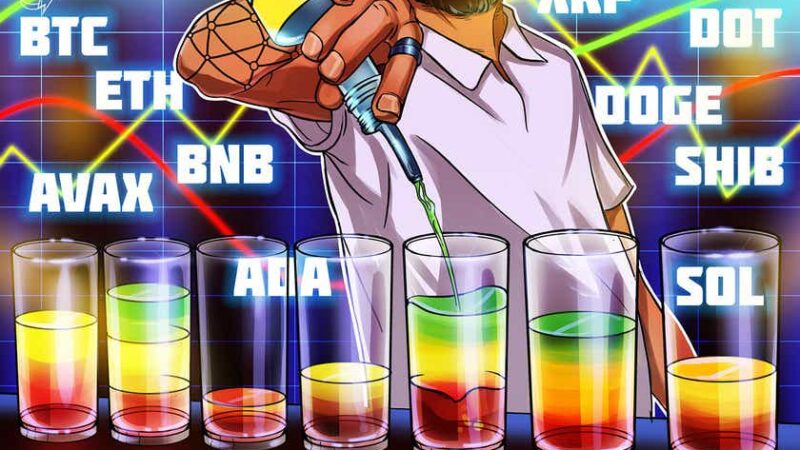 Price analysis 11/19: BTC, ETH, BNB, SOL, ADA, XRP, DOT, DOGE, SHIB, AVAX