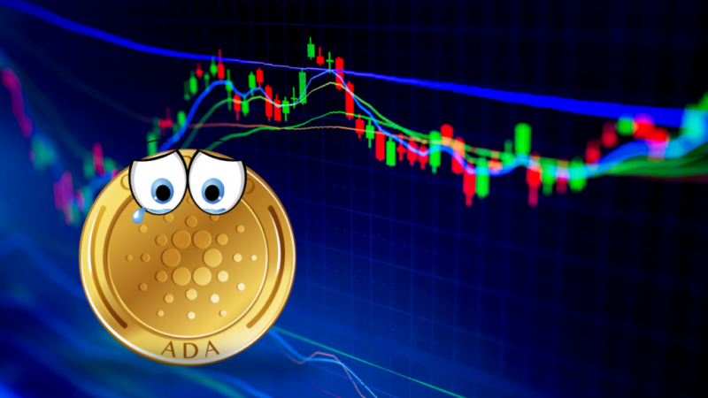 Red Alert In Crypto Space, Cardano Price Trembling Yet Remains Bullish