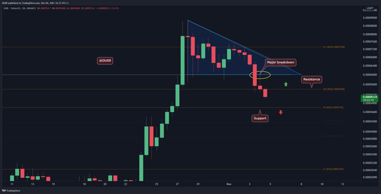 Shiba Inu Price Analysis: SHIB Bloodbath With Another 20% Daily, When’s The Next Support?