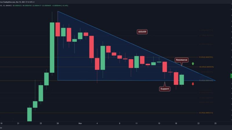 Shiba Inu Price Analysis: SHIB Bulls to the Rescue, Chart 6% Daily Gains