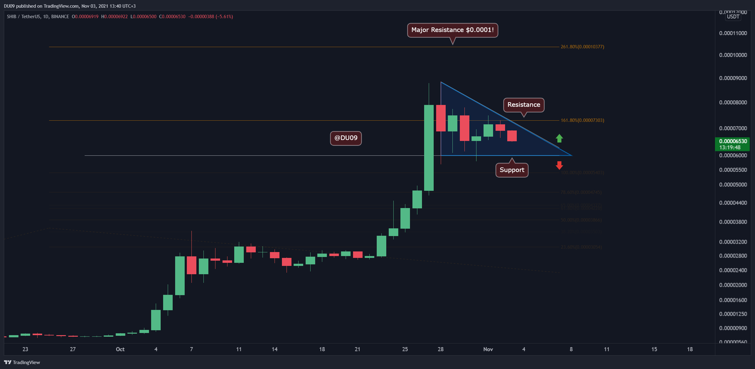 Shiba Inu Price Analysis: Shiba Inu Loses 7% Daily, Now Facing Critical Support