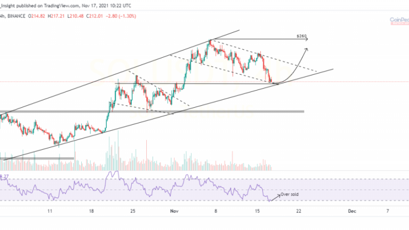 Solana Prepares For Correction, Litecoin & Binance Coin Follows The Suit! What’s Next?