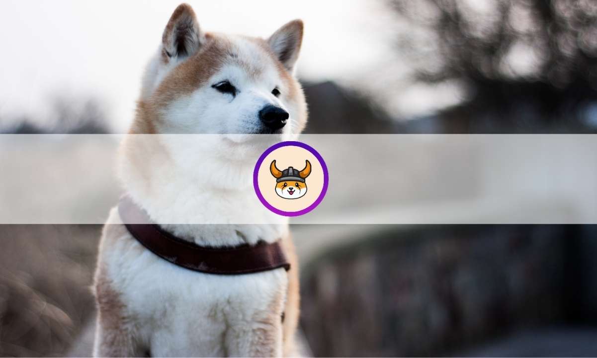 What is Floki Inu (FLOKI)? Everything You Need to Know About the Trending Memecoin