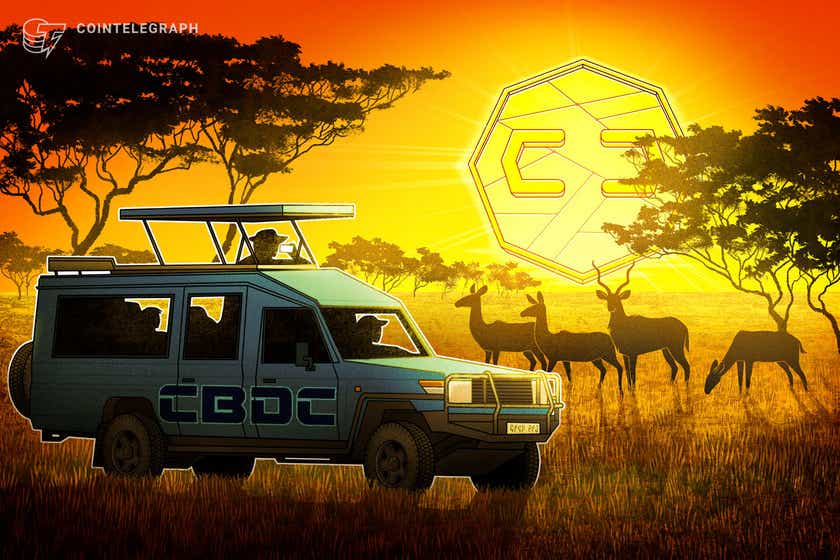 Zimbabwe minister signals CBDC interest amid Bitcoin adoption rumors