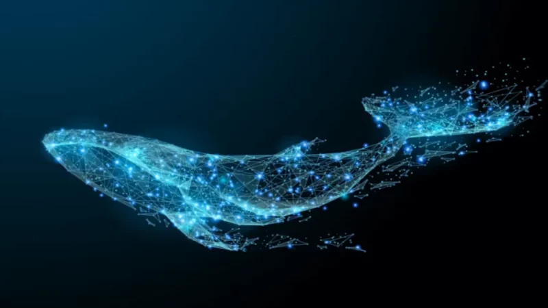Are Whales Pushing Bitcoin To Another Series Of Accumulation?