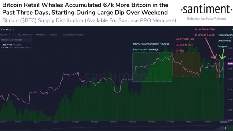 Bitcoin Whales Bought Almost $3.5 Billion (67K BTC) During the Crash to $42K