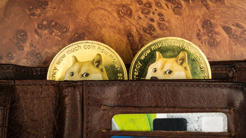 Crypto Exchange Binance Explains Its ‘Rare’ Dogecoin Issue — Resumes DOGE Withdrawals