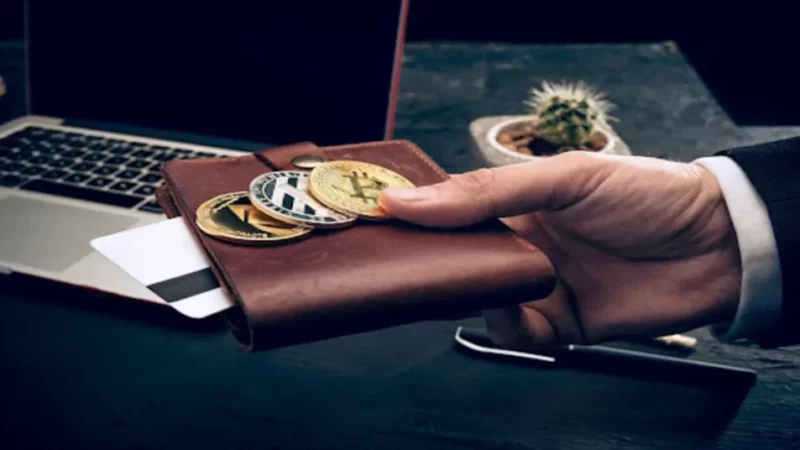 Crypto Whales Continue Accumulation: Is This The Fool-Proof Strategy To Make Riches Out Of The Supercycle?