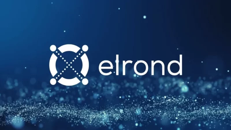 Elrond(EGLD) Price May Soon Attract the Bulls, This is Where it May Smash this Bull Run!