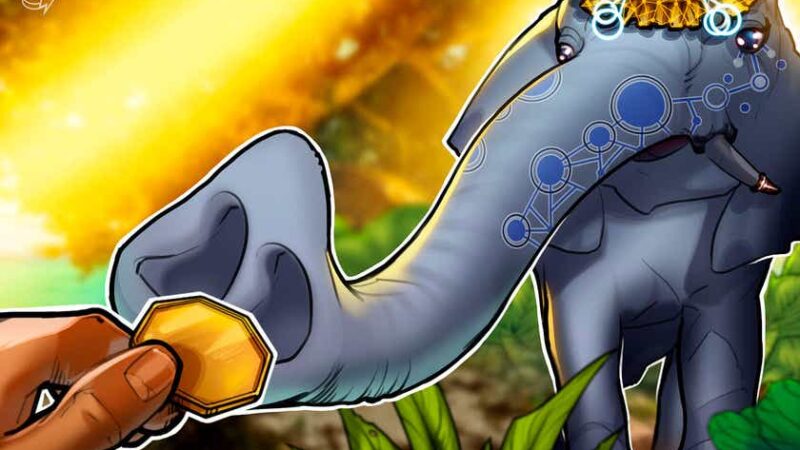 Indian trade group recommends ‘special class security’ status for crypto