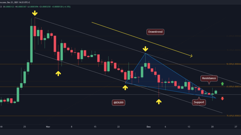Shiba Inu Price Analysis: SHIB At a Critical Decision Point Following 10% Daily Surge