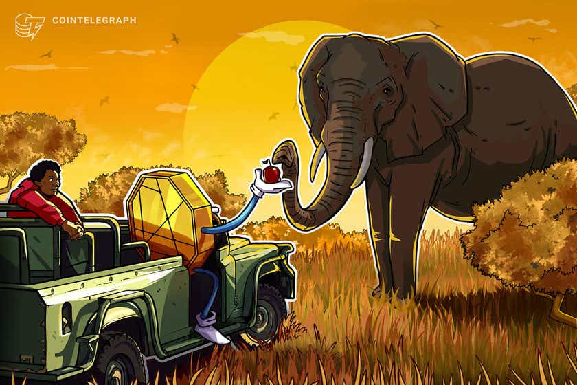 South Africa’s financial regulator plans to introduce framework aimed at protecting vulnerable crypto investors: report