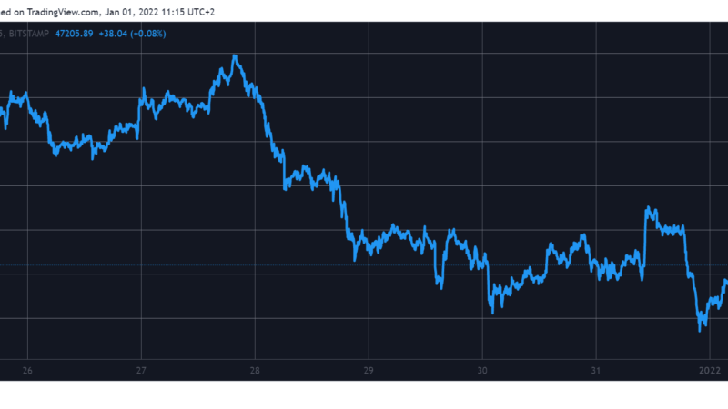 2022 Starts in Red: AVAX is the Only Top 20 in Green