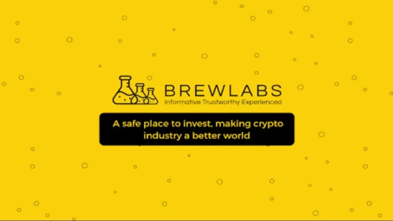 BrewLabs: A Safe Place to Invest, Making Crypto Industry a Better World