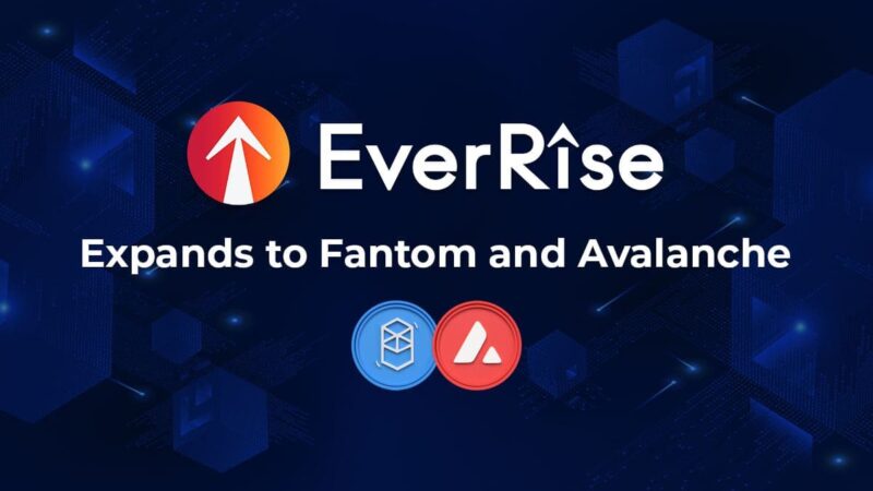 EverRise Expands DeFi Security Infrastructure to Fantom and Avalanche