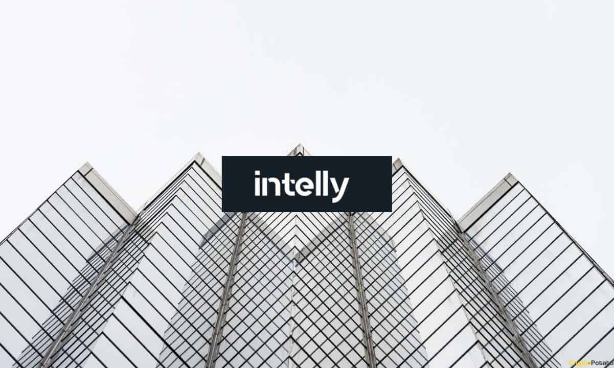 Intelly: Strengthening Real Estate and Property Development Through Blockchain