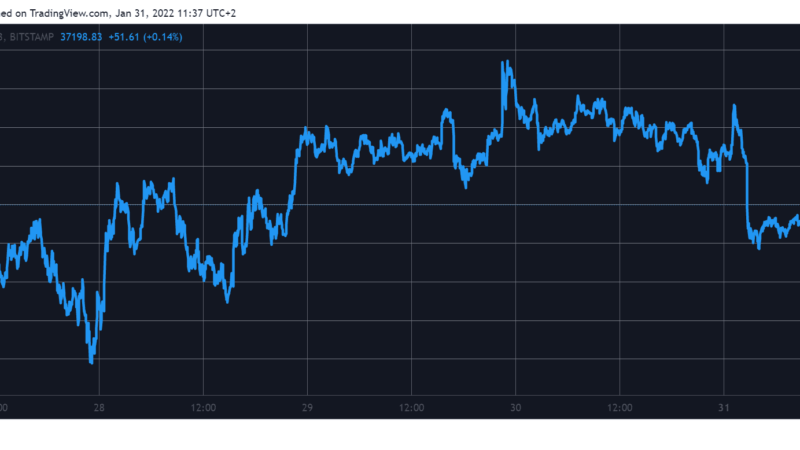 New Week Starts in Red: BTC Down $1K, LUNA Plunged 10% (Market Watch)