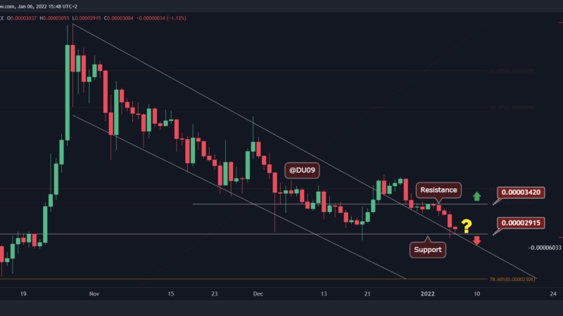 SHIB Down to 65% Below ATH Levels, Here is the Key Support to Watch (Shiba Inu Price Analysis)