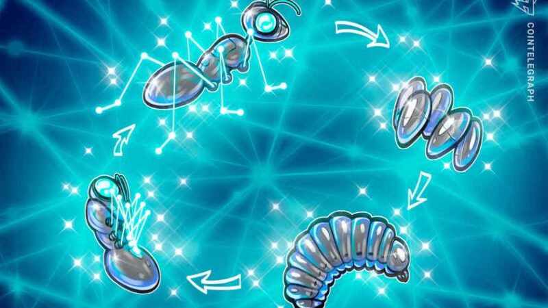 The life cycle of smart contracts in the blockchain ecosystem