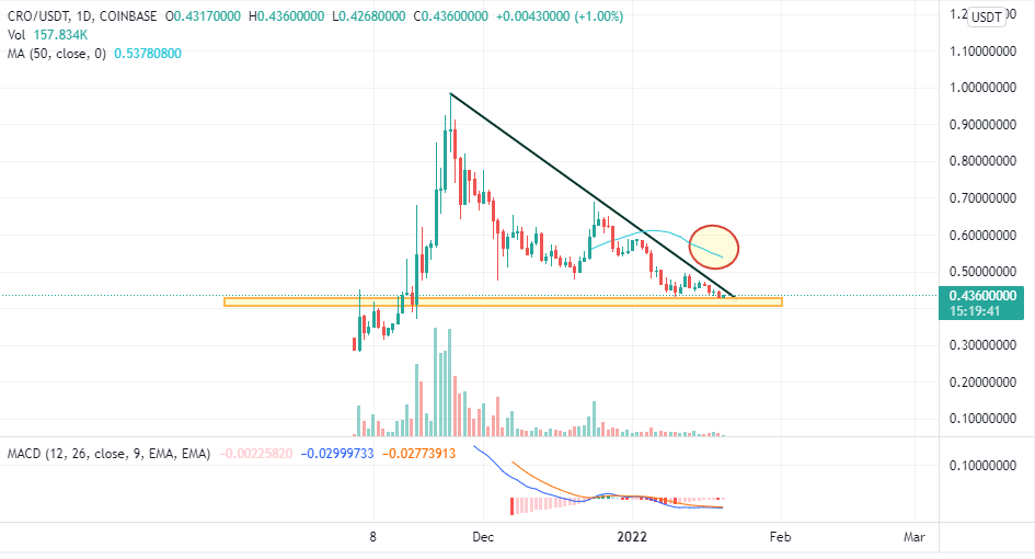 These Two Tokens May Wage War Against the Bears In the Near Future!