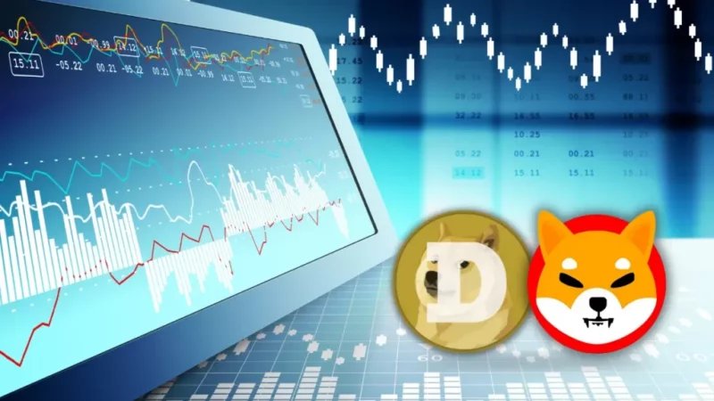Dogecoin & Shiba INU are Out of Top 10 Nowadays! Will They be Out of the Top-50 too?