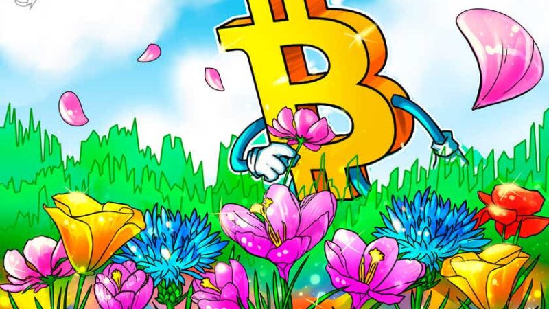 Flower powered: Bitcoin miner heats greenhouses in the Netherlands