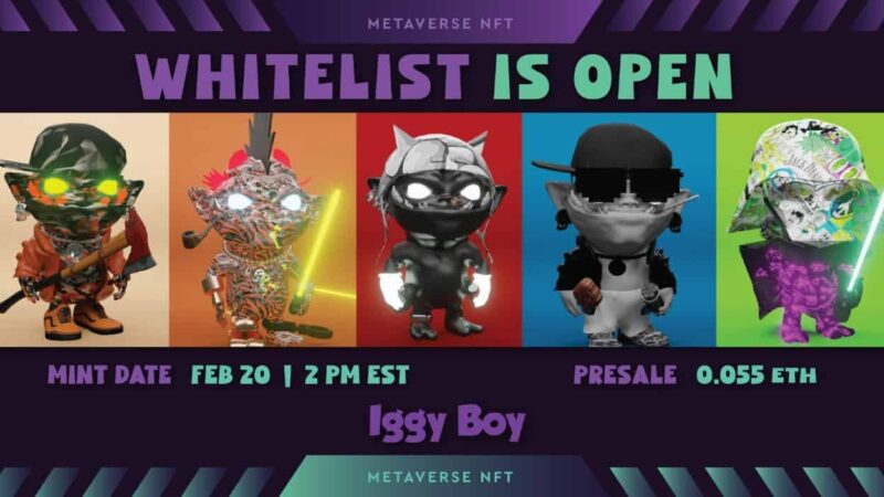 IggyBoy NFTs: 3D Non-Fungible Tokens Coming to the Metaverse