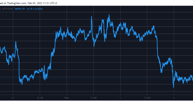 Market Watch: Bitcoin Slipped to $36.5K, Solana Crashed 10% Following $320M Bridge Hack
