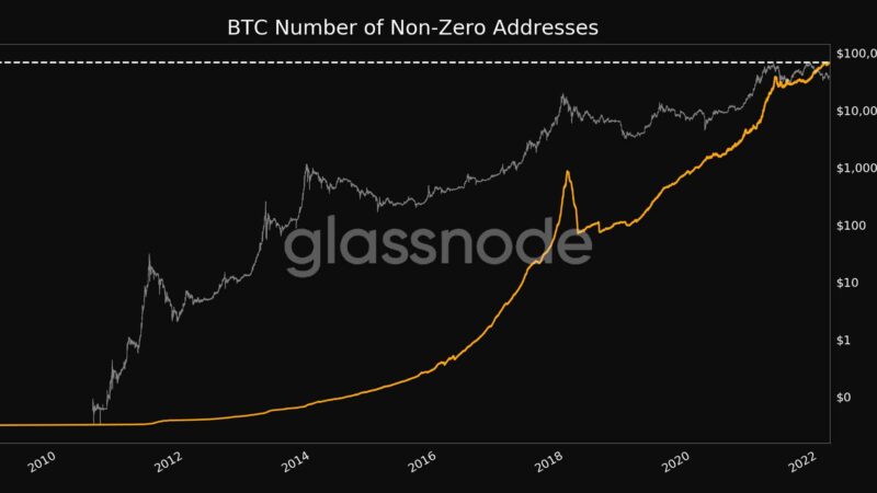 Non-Zero Bitcoin Addresses at ATH, Bitcoin Wholecoiners at 10-Month Peak