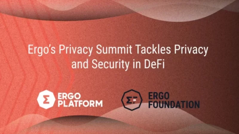 Privacy And Security: Ergo Holds Summit On New Trends