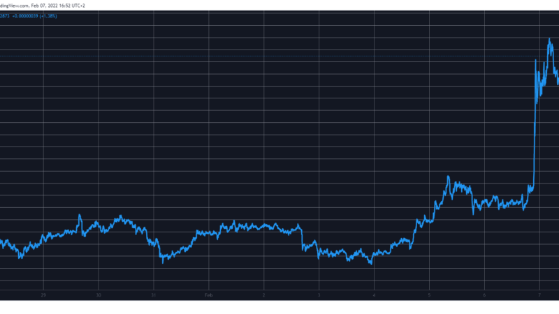 Top 100 SHIB Holders Control Over 25% of the Total Shiba Inu Supply