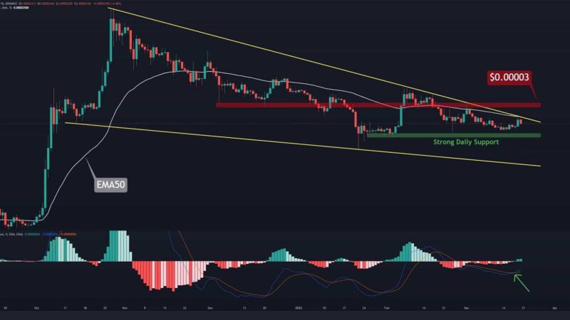 Shiba Inu Price Analysis: Bullish Pattern is Forming, SHIB’s Breakout Imminent?