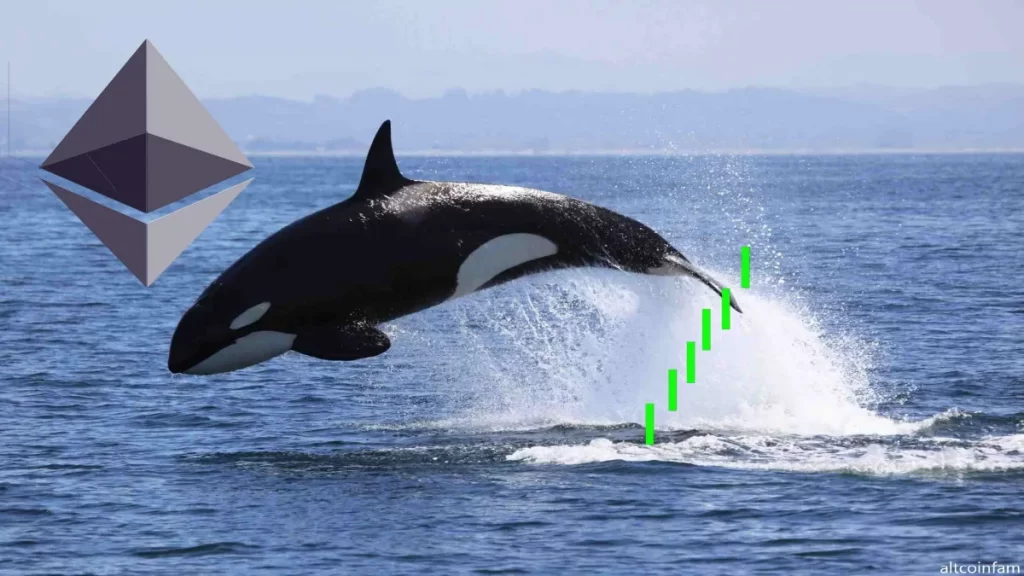 Top Ethereum Whales Are Stacking These Altcoins As Crypto Market Continue To Tumble