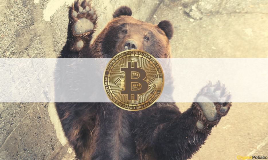 Bitcoin’s Drop to $40K and Elon Musk’s $43 Billion Bid to Buy Twitter: This Week’s Crypto Recap